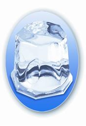 Gourmet Ice Houston Ice Machine